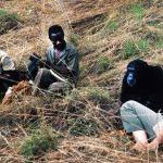 Razer QA Co-AI Resmi Masuk AWS Marketplace